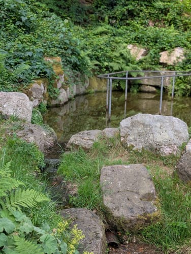 Auerhahnweg (Genießerpfad)