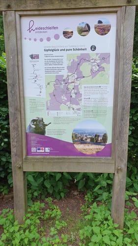Tütsberg - Wulfsberg - Twieselmoor