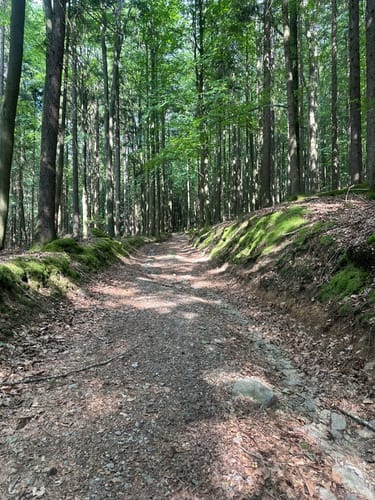 Haidsteiner Hütte Rundweg