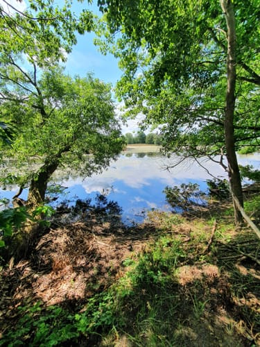 Teichrunde bei Mönau