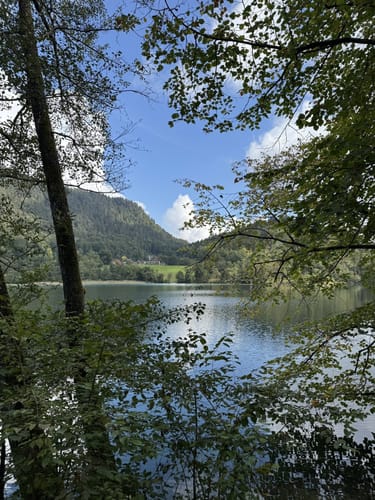 Thumsee-Rundwanderweg