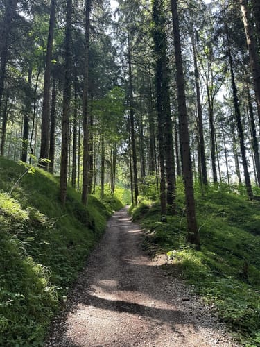 Hochgern von Marquartstein
