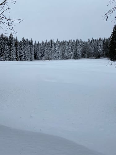 Zur Ebertswiese über Haderholzgrund