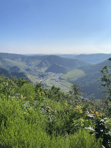 Ahrtalalpin: Von Altenahr über Mayschoss und das Teufelsley