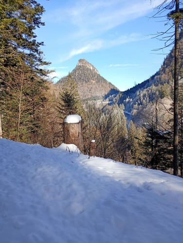 Reiteralm ab Reiter
