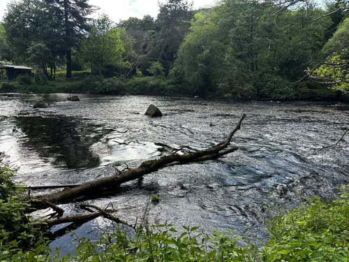 Um das Staubecken in Heimbach