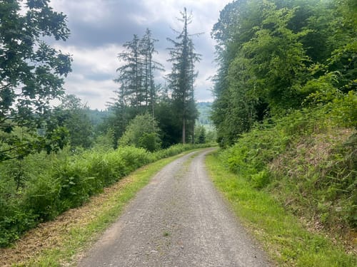Lantenbach Rundweg A4