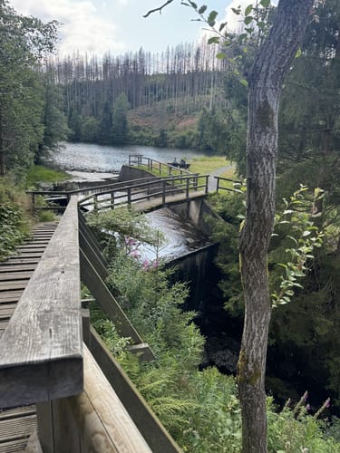 Rund um Altenau