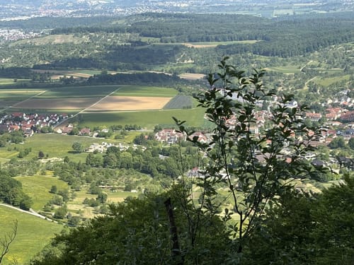 Hocholz - Burg Hohenneuffen