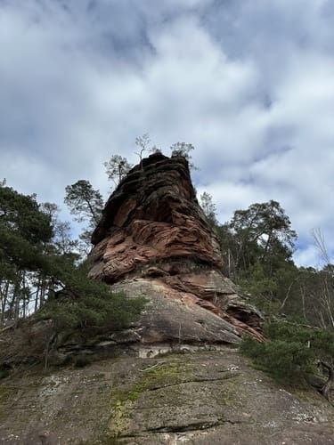 Dahner Felsenpfad (Premiumwanderweg)