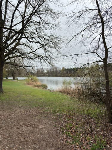 Um den Auwaldsee