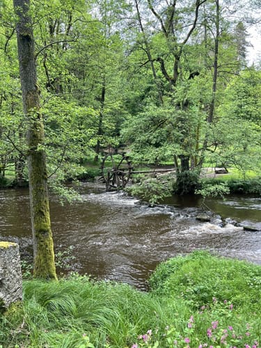 Von Lindenhof zum Mühlnickelweiher durch das NSG Waldnaabtal