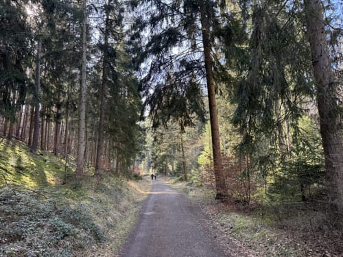 Erlebnispfad zum Humbergturm