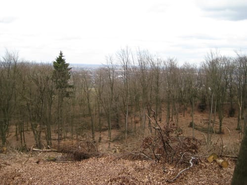 Wittekindsweg Etappe 5: Nettelstedt - Porta Westfalica