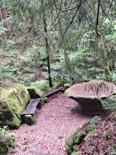 Durch die Karlstalschlucht ab Trippstadt