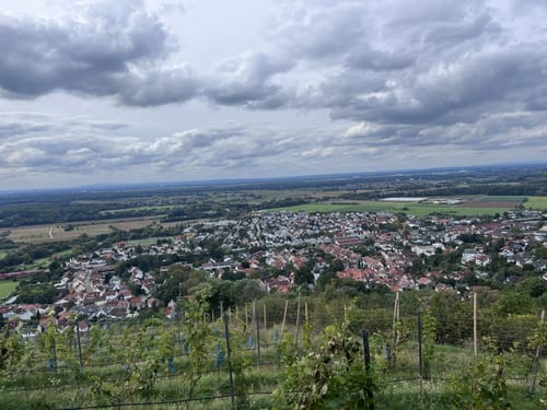 Zwingenberg: Schloss Auerbach und Melibokus