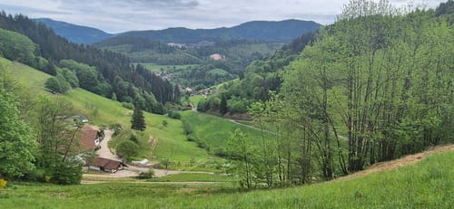 Ottenhöfen - Simmersbacher Kopf