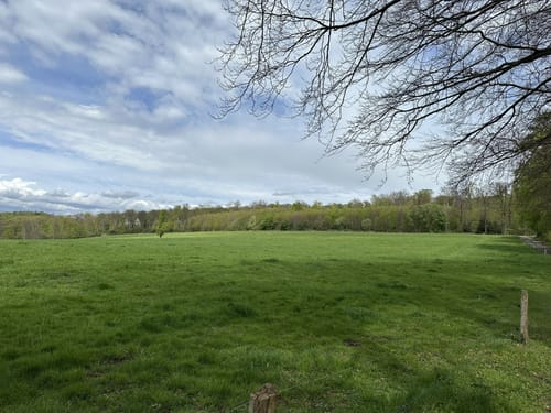 Oberer Dellenweg und Harkortberg Rundweg