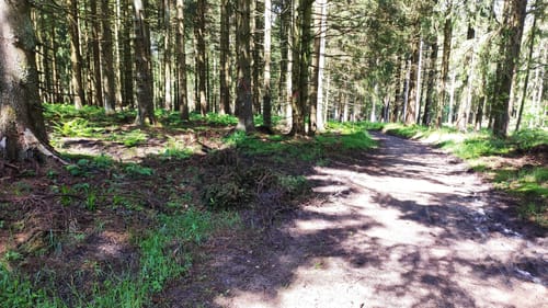 Die Willinger Schleife