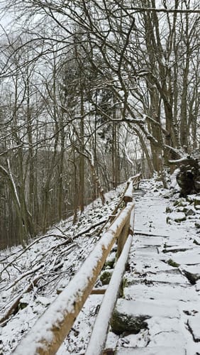 Naturlehrpfad Gangolfsberg