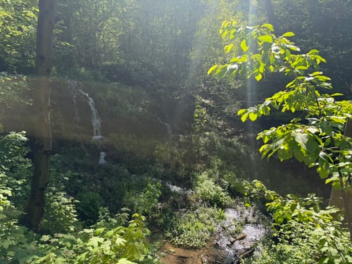Plesse P5 (Premiumwanderweg)