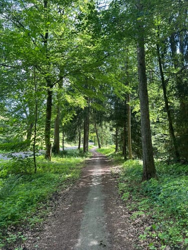 Egestorf - Döhle - Sudermühlen
