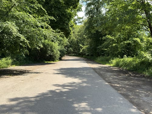 Fasanerieweg ab Tier- und Pflanzenpark Fasanerie Wiesbaden