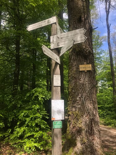 Naturparkweg Schmetterling Engländer