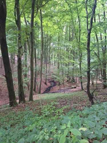 Starfighter Absturzstelle bei Kleinenbremen