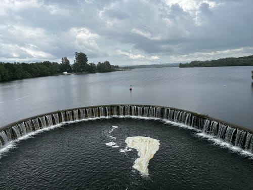 Rund um den Lippesee