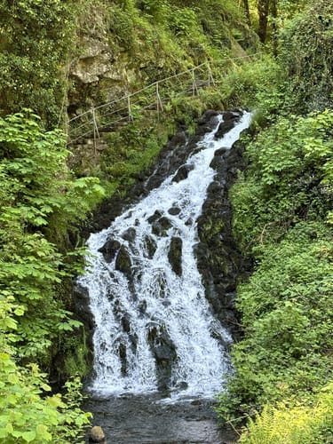HeimatSpur Erlebnisweg Ritter-Räuber-Römer (Bad Bertrich)