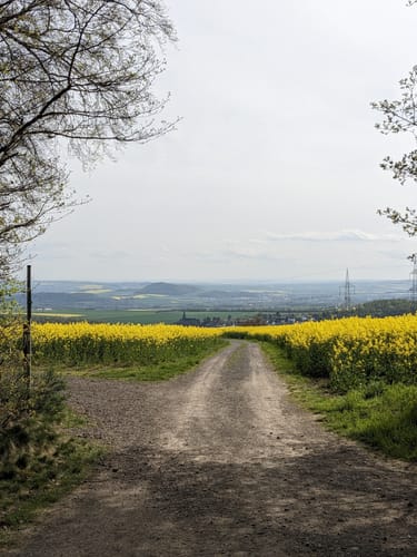 Traumpfädchen Kleiner Stern (Premiumspazierwanderweg)