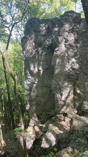 HOCHGEHBERGE I "hochgehadelt" (Premiumwanderweg)