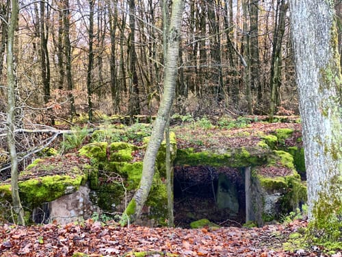 Vom Höcherbergturm um den Dörrberg