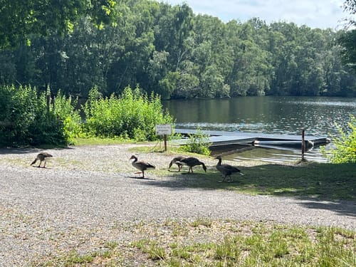 Rund um den Altwarmbüchener See