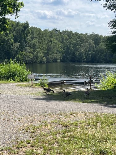 Rund um den Altwarmbüchener See