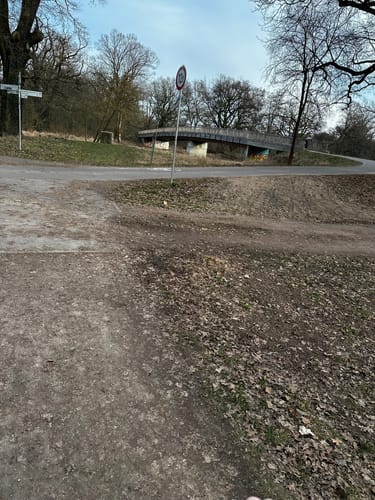 Durch die Oranienbaumer Heide