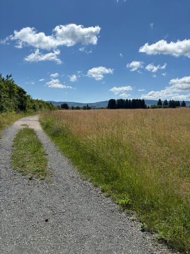 Rundtour Schulenberg (O3)