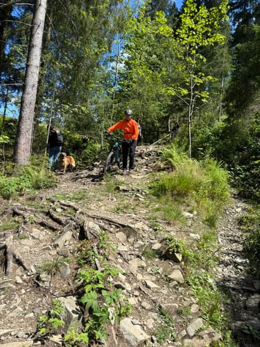 Rundtour Schulenberg (O3)