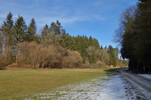 Schusterweg