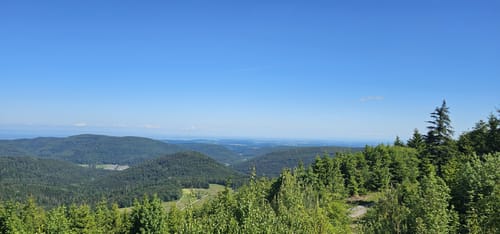 Westweg Etappe 2: Dobel - Forbach