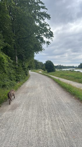 Isarrundweg: Alter Jüdischer Friedhof - Großhesseloher Brücke