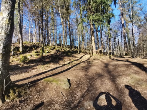HeimatSpur Dreeswanderweg