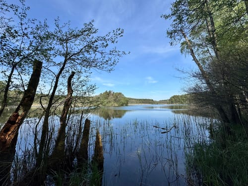 Schulzenhof - Großer Törnsee - Zeutensee