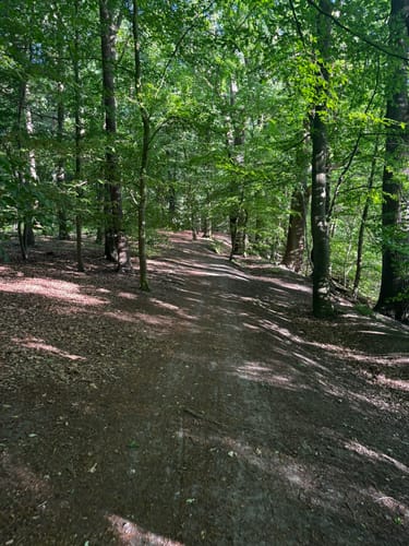 Runde im Stellmoor-Ahrensburger Tunneltal