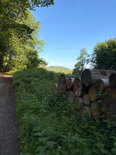 Mielberg-Petersberg-Rundweg
