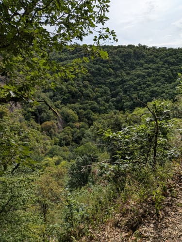 Dortebachtal