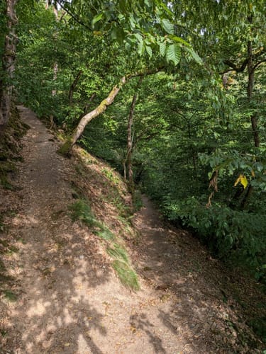 Dortebachtal