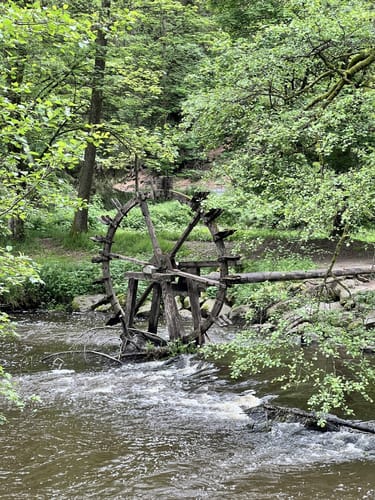 Von Lindenhof zum Mühlnickelweiher durch das NSG Waldnaabtal
