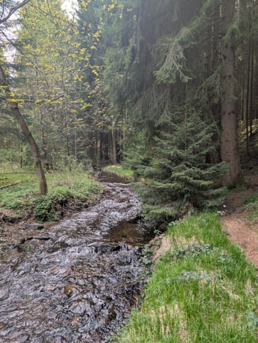 Um die Falkenstein Talsperre